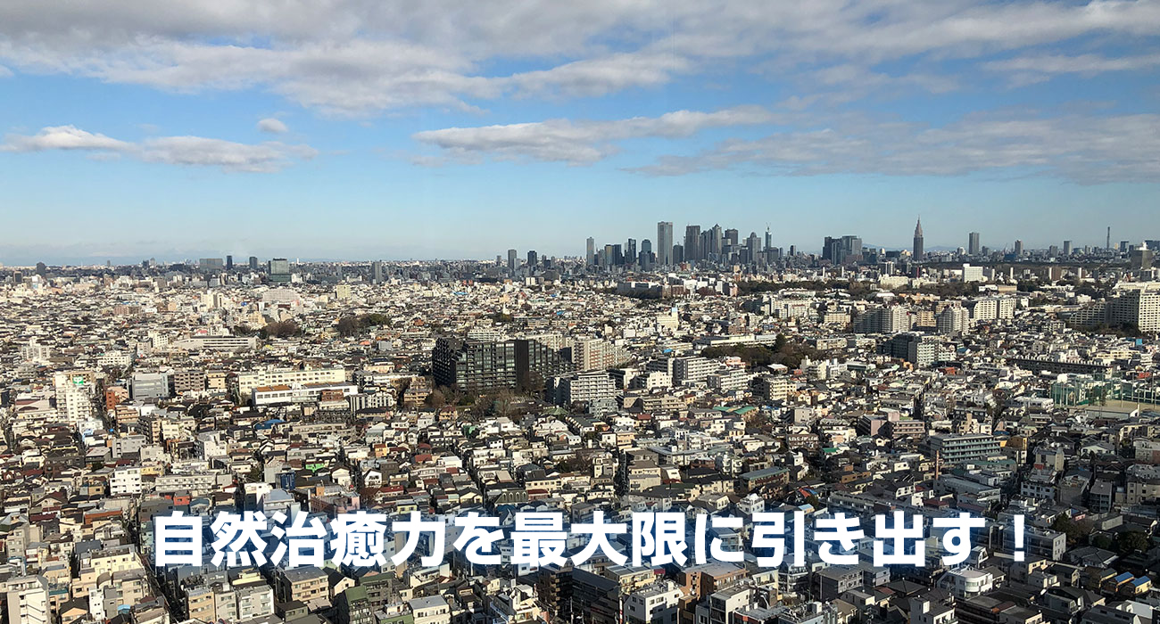 自然治癒力を最大限に引き出す！