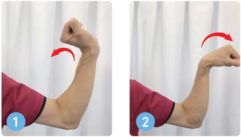 前腕強化：物をつかむ・握る筋力強化運動